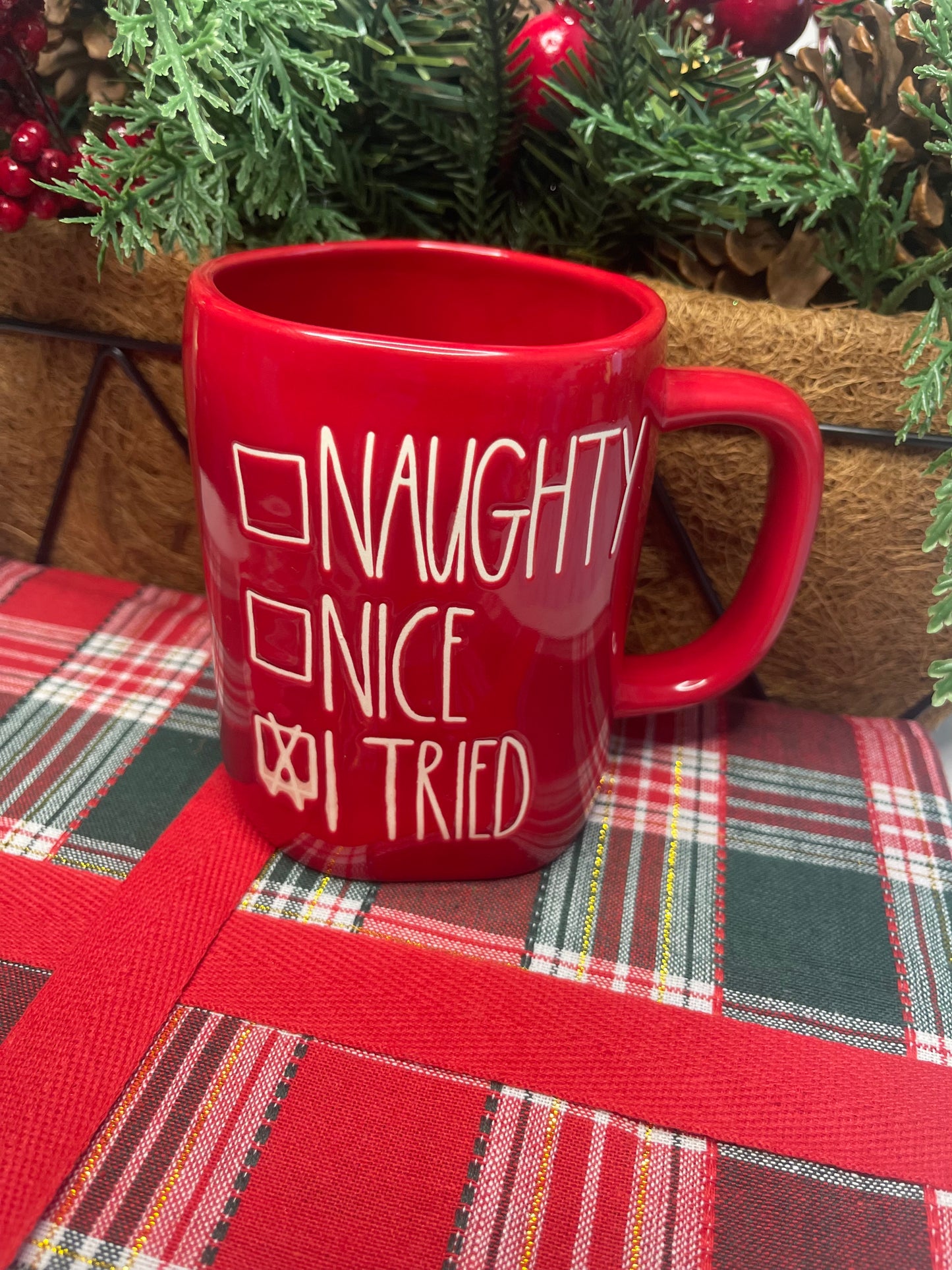 Naughty or Nice Mug