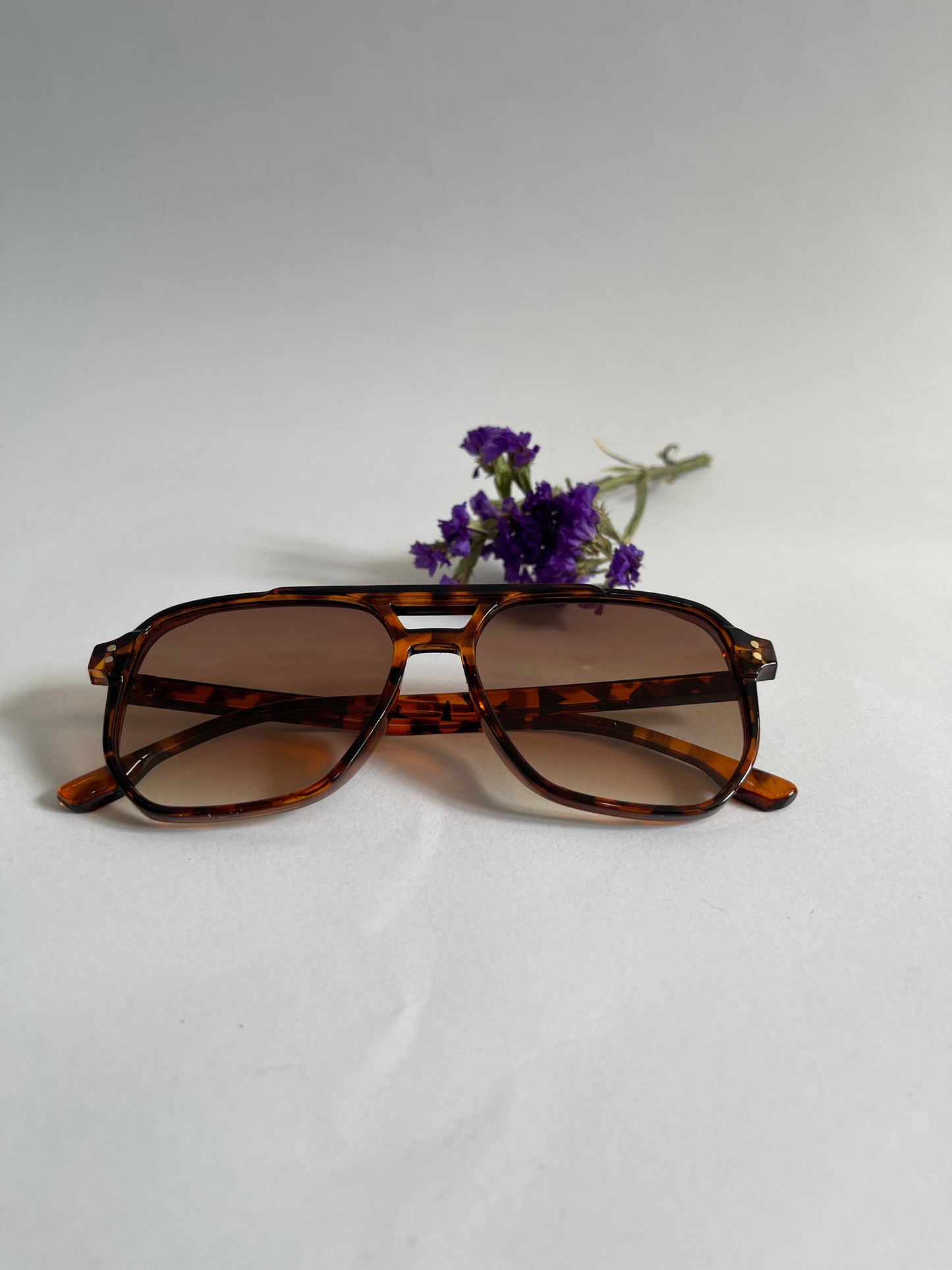 Miami Beach Sunglasses