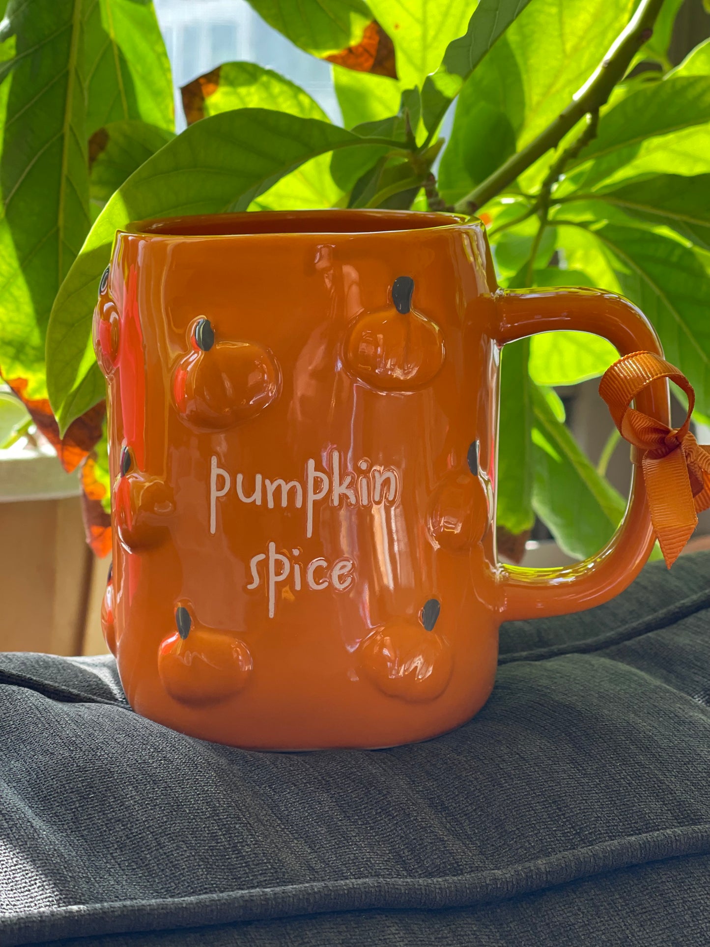Pumpkin Spice Mug